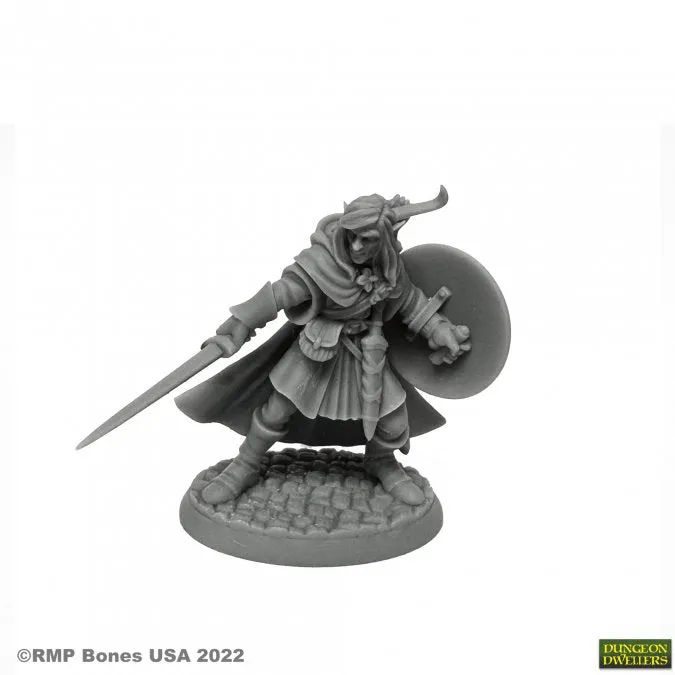Dungeon Dwellers (Mellonir Windrunner, Elf Fighter 7026) | Bones USA TTRPG Miniature