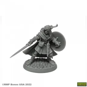 Dungeon Dwellers (Mellonir Windrunner, Elf Fighter 7026) | Bones USA TTRPG Miniature